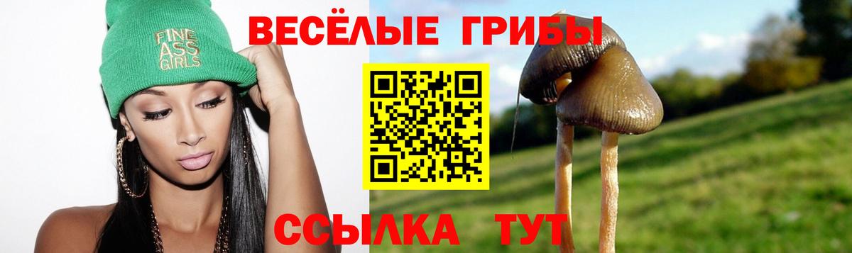 Псилоцибиновые грибы мухоморы  Вход с VPN  Ялта 